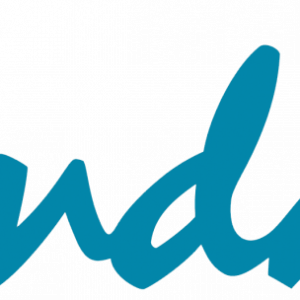 sandals-resort-logo-1024x304 - Zembula