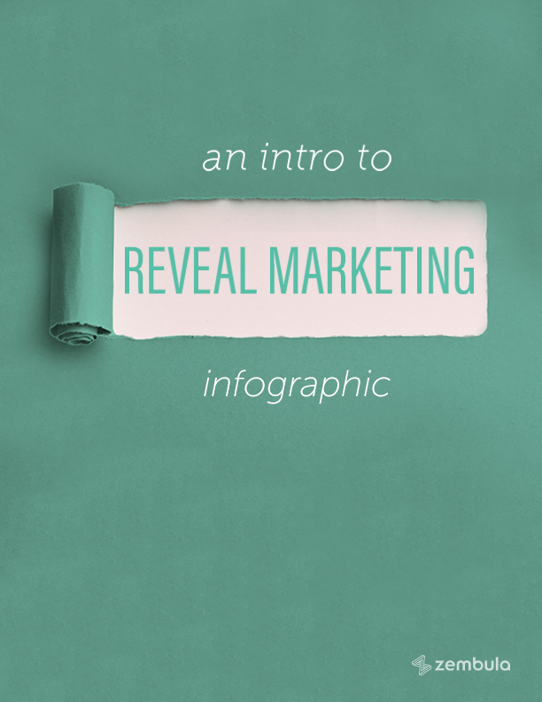 Into to Reveal Marketing Infographic